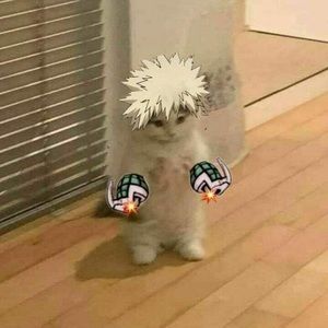 Meet your Posher, Nathan